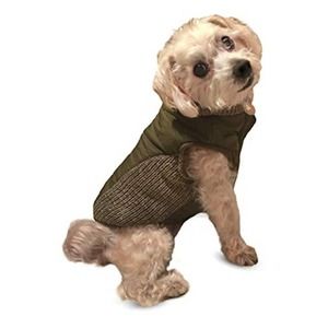 Fashion Pet Olive Warm Cozy Fleece Reversible Sweater Trim Puffy Knitted Coat